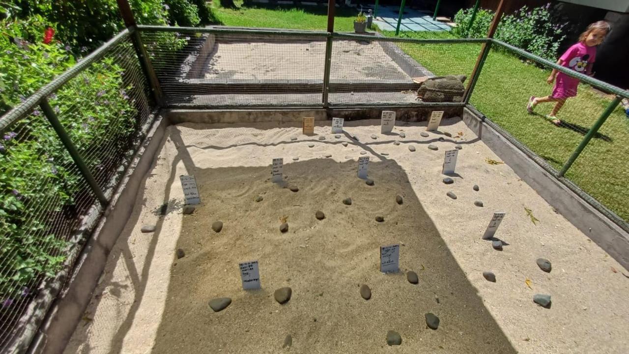 The Beach Bungalows & Turtle Sanctuary Pemuteran Εξωτερικό φωτογραφία
