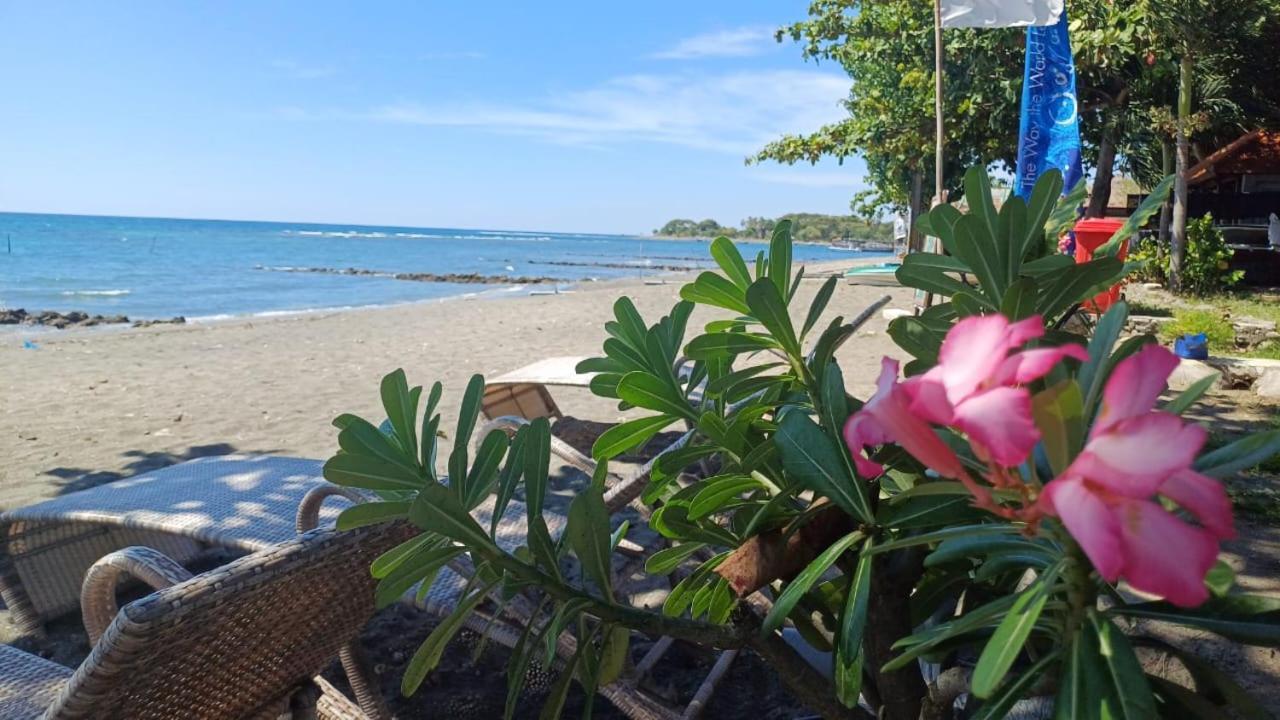 The Beach Bungalows & Turtle Sanctuary Pemuteran Εξωτερικό φωτογραφία