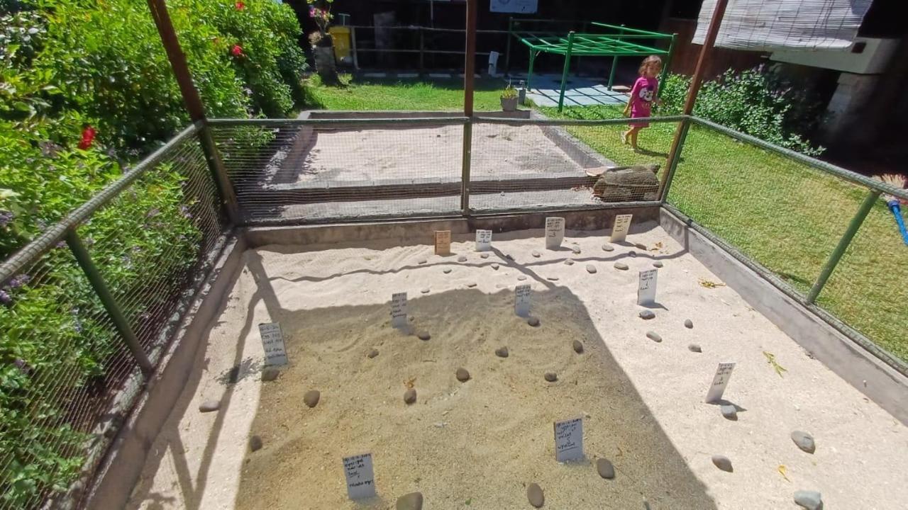 The Beach Bungalows & Turtle Sanctuary Pemuteran Εξωτερικό φωτογραφία