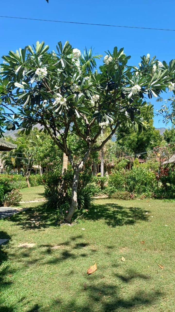 The Beach Bungalows & Turtle Sanctuary Pemuteran Εξωτερικό φωτογραφία